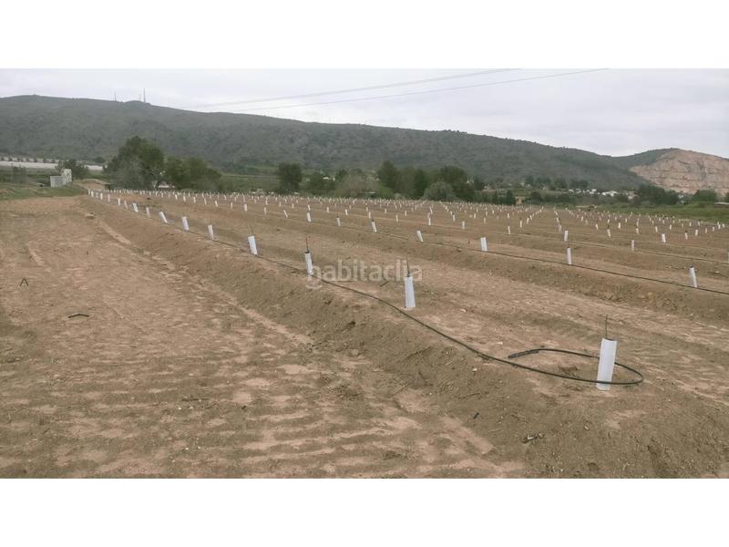 Foto 6c41730e-04ba-42d1-a30c-b1104c48403f. Finca rústica a Monte Real Torrent