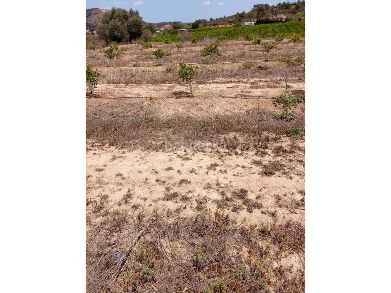 Foto 7e3358f5-d314-4348-8470-235e35591894. Finca rústica a Monte Real Torrent