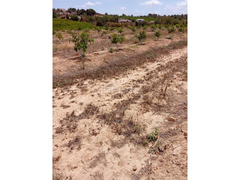 Foto b16dcd3f-cef9-4e2e-a8a3-94227c4c6150. Finca rústica a Monte Real Torrent