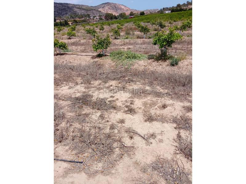 Foto bf9dc410-694c-4e26-84ed-309e92792aa7. Finca rústica a Monte Real Torrent