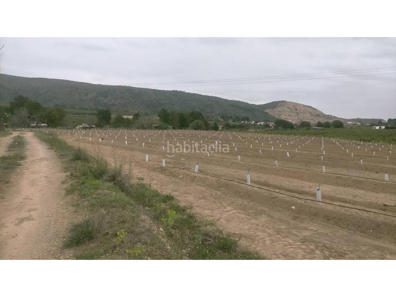 Foto cc4a01eb-7925-4b51-89eb-3e360ed13091. Finca rústica a Monte Real Torrent
