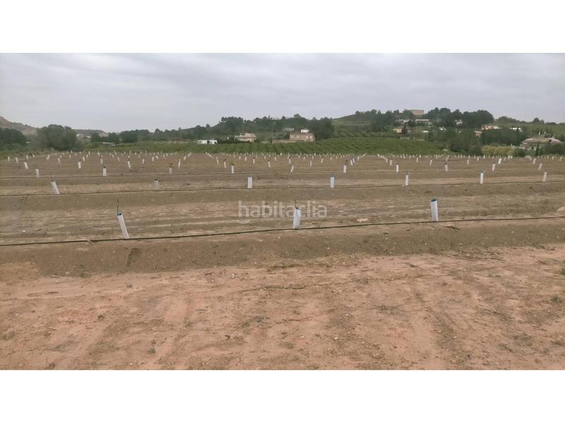 Foto e250ea9b-ca67-4ed9-ae98-4e54650d058a. Finca rústica a Monte Real Torrent