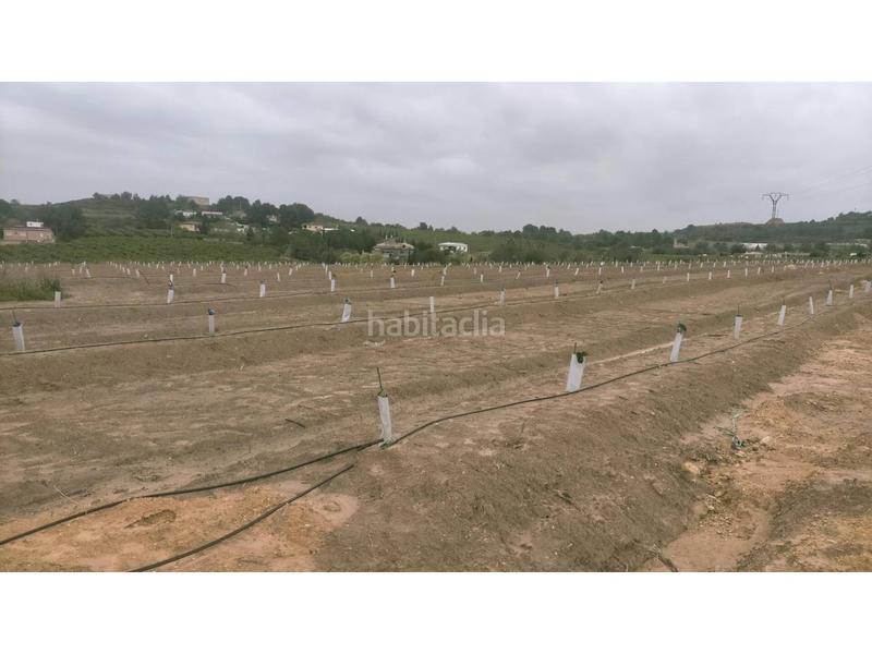 Foto e9cc3283-c769-4f09-bc2c-03777da5e1f9. Finca rústica a Monte Real Torrent