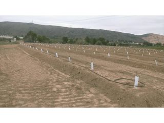 Finca r�stica  Calle xarcos secs. Venta finca rustica en torrent caseta del botet font de manyes