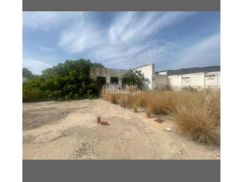 Foto 45c567eb-7b11-4faa-9062-df05febc592a. Finca rústica venta finca rustica en la poblacion en Alzira