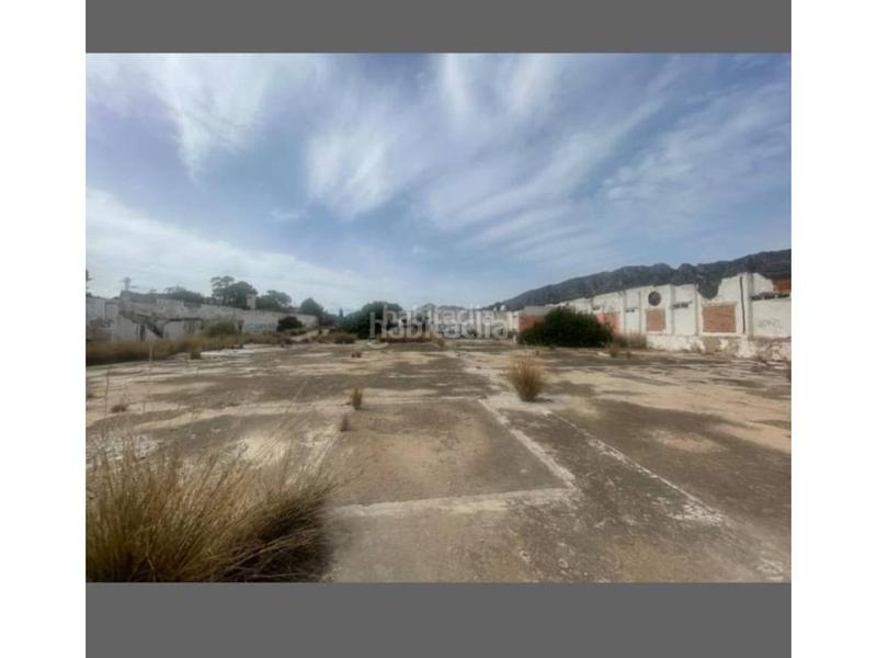 Foto ce5b511d-05b9-4e76-854d-2ccf6134241a. Finca rústica venta finca rustica en la poblacion en Alzira