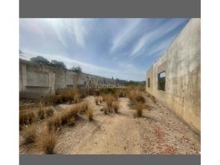 Finca rústica a Urbanitzacions i Pedanies Sud. Venta finca rustica en la poblacion de alzira