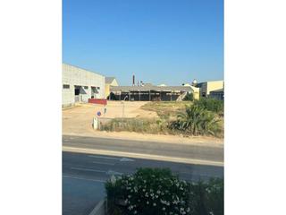 Alquiler Finca rústica en Beniparrell. Alquila solar industrial en beniparrell