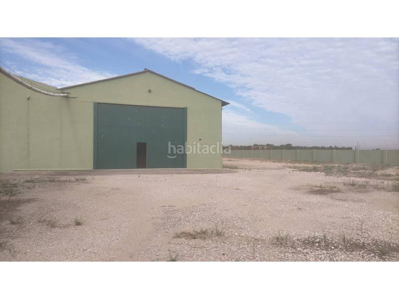 Foto 1773d1da-8ce9-4a51-b92a-4c90ab346195. Nau industrial a Pinedo Valencia