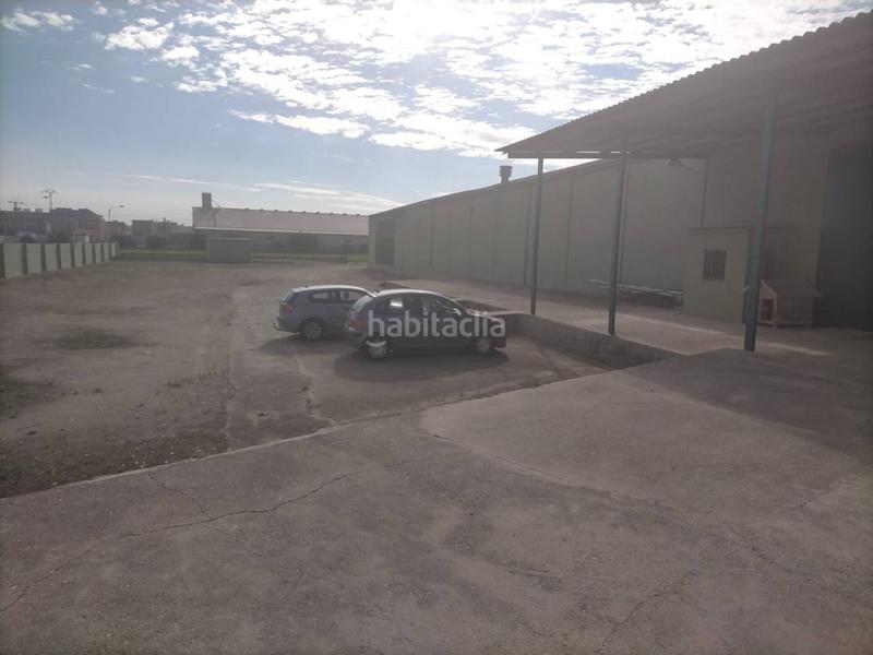 Foto 749354bd-86d9-4afd-ae06-e2b59bbb9996. Nau industrial a Pinedo Valencia