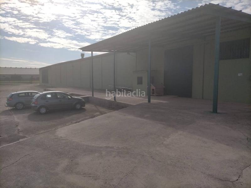Foto bd27670f-5d78-4173-9500-f498d9d5d392. Nau industrial a Pinedo Valencia