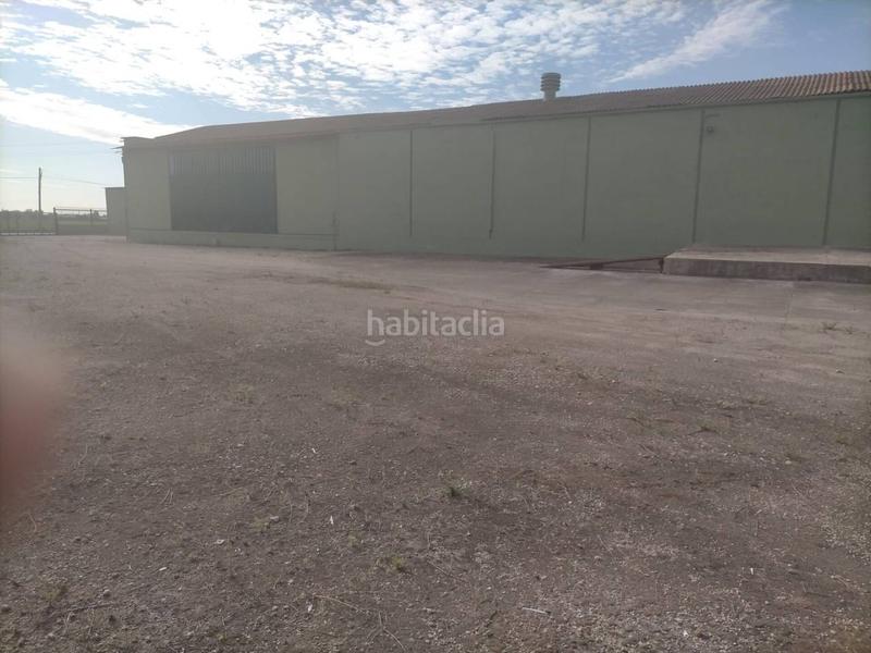 Foto dc40a670-cd4f-409b-819e-242acb526fc0. Nau industrial a Pinedo Valencia