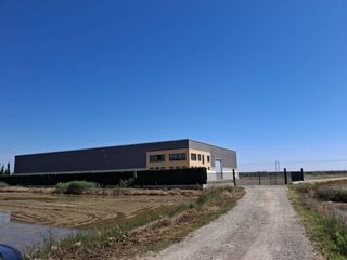 Fabrikhalle in Sollana. Alquila y venta nave agricola tipo c en la poblacion de sollana