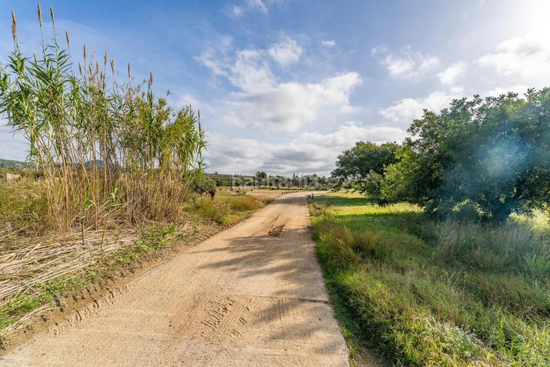 Foto 1b97b8a2-935a-46a6-b153-7683d758792e. Fondo rustico in Riudoms