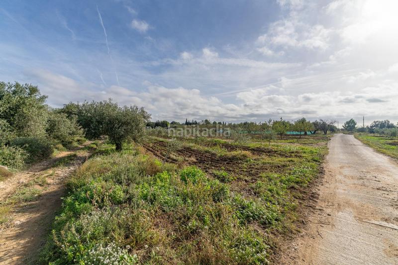 Foto 538c4560-6eda-4578-bbc8-c85277bd3e49. Fondo rustico in Riudoms