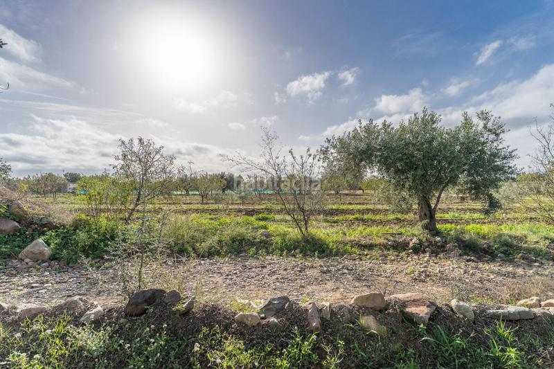 Foto 5b864b4d-8cfd-4ece-911c-52120cb3b05b. Fondo rustico in Riudoms