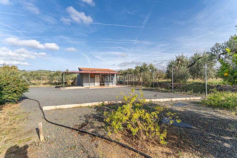 Foto 6b32624a-54e0-454a-8641-1c7df9205d34. Fondo rustico in Riudoms