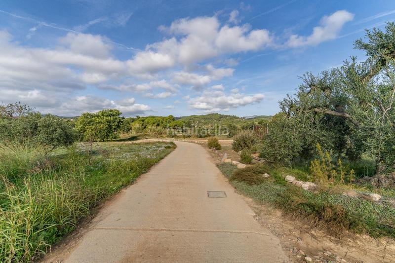 Foto 7f7d6d23-bc9c-4761-bf27-066f6cdff2e0. Fondo rustico in Riudoms