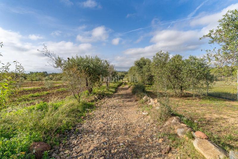 Foto 88c9dfdf-480c-4e9d-b79c-f9b0bbba7323. Fondo rustico in Riudoms