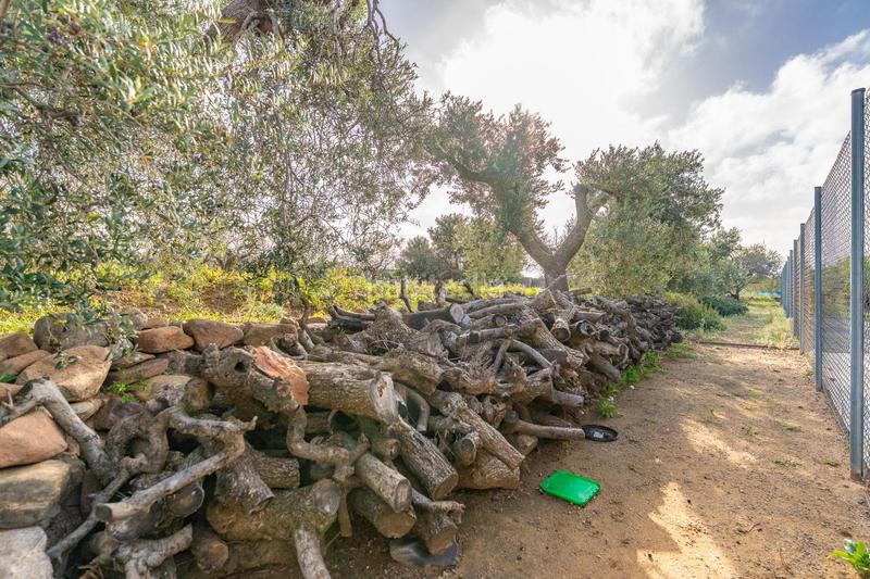 Foto 95814450-f41d-41c3-a0da-455b29496b16. Fondo rustico in Riudoms