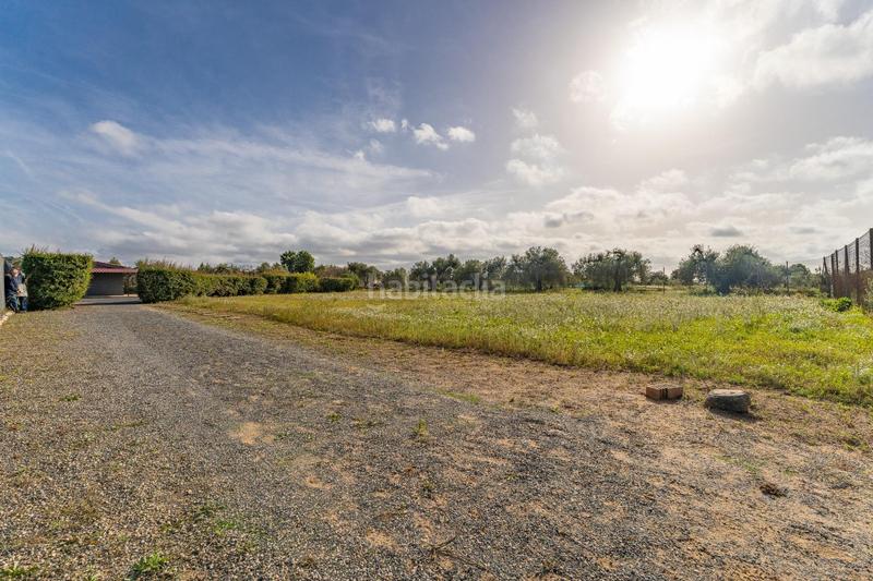 Foto 97440c2e-d4ab-42c5-a42f-82f97c63e4ba. Fondo rustico in Riudoms