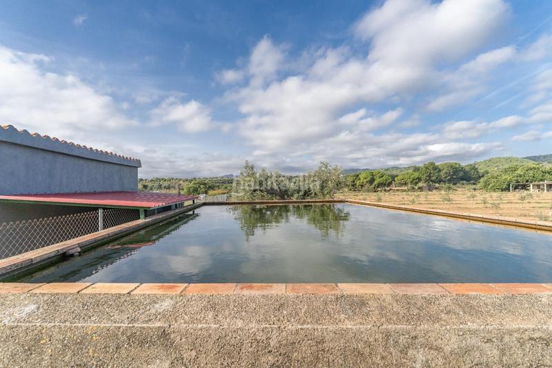 Foto a3b1341e-8f9e-4e46-9465-4dd95775bb4a. Fondo rustico in Riudoms