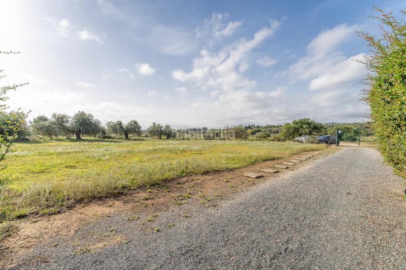 Foto c16eac91-be98-4007-b85c-76e56db3877c. Fondo rustico in Riudoms