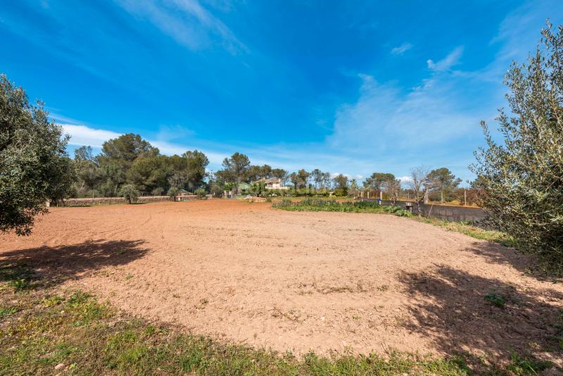 Foto 3d5c8987-107f-4677-bc3d-23927168f365. Casale con camino riscaldamento in Sa Casa Blanca Palma de Mallorca