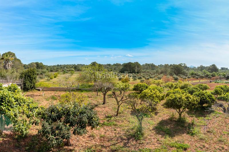 Foto dd0e149c-8396-439f-9564-d9840b1b92b8. Casale con camino riscaldamento in Sa Casa Blanca Palma de Mallorca