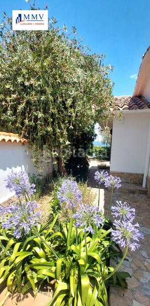 Foto 3f9b55ae-8d29-4b05-ab52-5f319e367d9b. Rent apartment with heating pool in Serra Brava Lloret de Mar