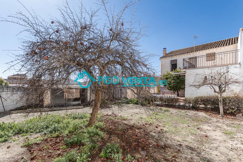 Foto 5124a656-909b-4c50-8b37-cbc352f83871. Doppelhaus mit parking in Íllora