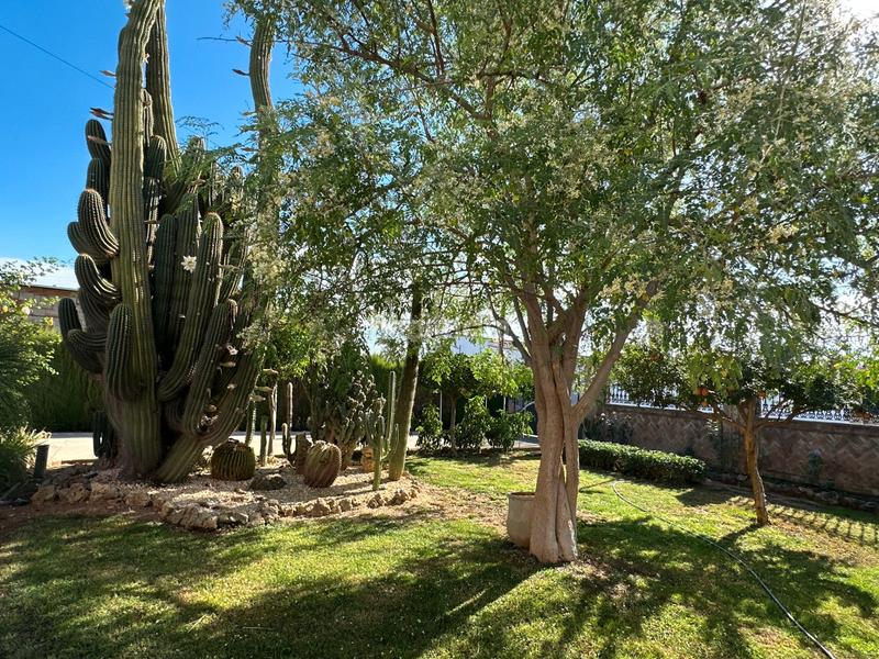 Foto 2ce4a572-a380-4efd-aff6-eb6988a2b338. Xalet amb xemeneia calefacció aparcament piscina a Córdoba