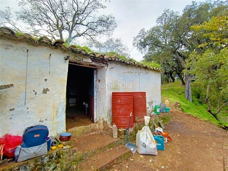 Foto 503cf21a-31ae-4511-861c-e2df64a5bb28. Masia a ma-8305 18 a Algatocín