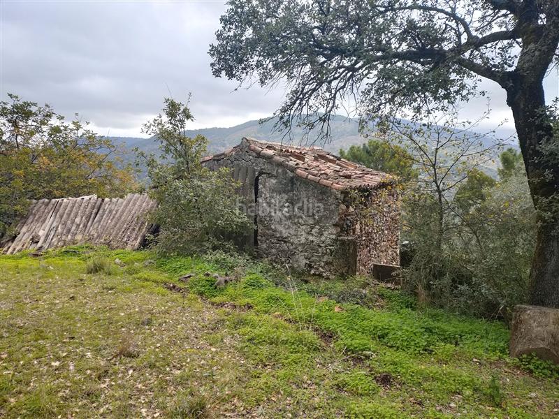 Foto b3de59b4-b02d-40dd-b06b-a5c5ea4d7acb. Masia a ma-8305 18 a Algatocín