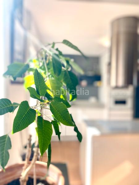 Foto e02fcda9-bf5d-4bab-ae72-d5a149ae81fb. Casa a schiera in calle rodrigo pérez ponce 11 in Tarifa