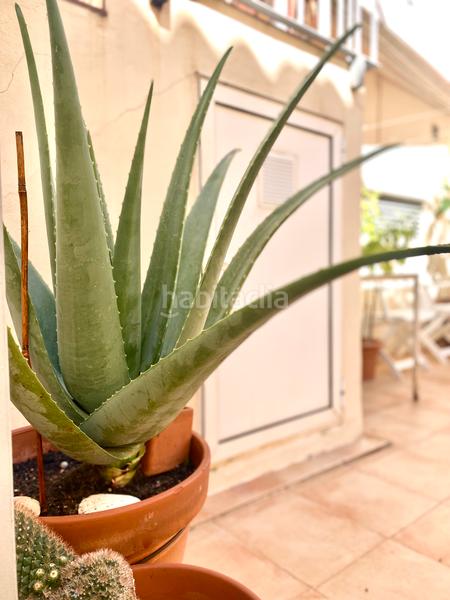 Foto eca0153f-5f32-4d2a-801b-b896b37ee91c. Casa a schiera in calle rodrigo pérez ponce 11 in Tarifa