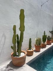 Casa adossada a Facinas. Casa con piscina en facinas