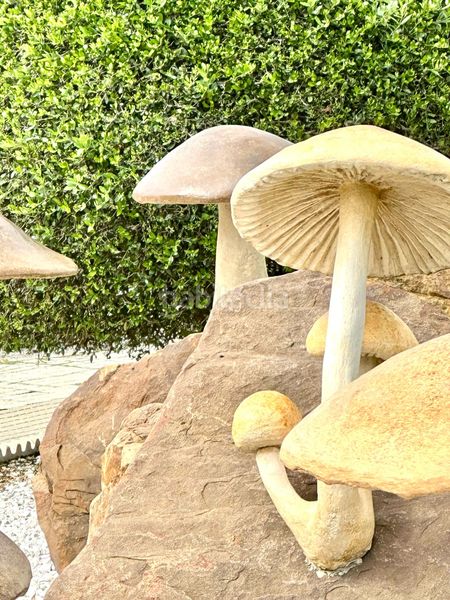 Foto b5d6b8c3-e4e1-47e8-a769-505cb22f8700. Pis amb aparcament a Facinas Tarifa