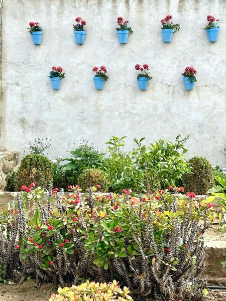 Foto c5f8d42d-8842-4376-bddc-2cbdbe088c19. Pis amb aparcament a Facinas Tarifa