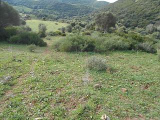 Finca rústica a El Cuartón - El Bujeo. Finca con aerogeneradores