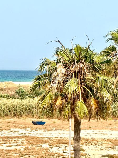 Foto 83f015e5-d8c7-4f0f-8630-0e7f977a6d12. Dachwohnung mit parking pool in Tarifa ciudad Tarifa