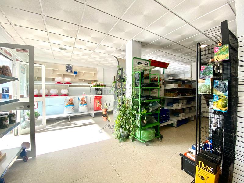 Foto a47e080c-fabe-4543-ae6f-a15beca55da0. Local comercial a Tarifa ciudad Tarifa