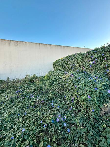 Foto 93751619-e540-42b8-8403-d4006bfc6fcc. Maison avec cheminée parking dans Facinas Tarifa