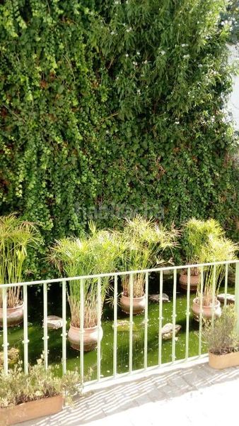 Foto e2a975e3-4a58-4ab9-b87d-e04c7c1c52fb. Planta baixa a calle gravina 8 a Tarifa ciudad Tarifa