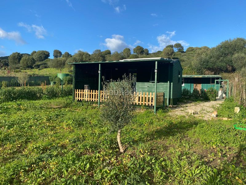 Foto c3baa10f-a7bd-417d-9cfb-2741fd90123f. Finca rústica a El Cuartón - El Bujeo Tarifa