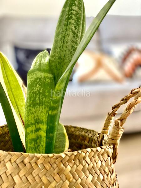 Foto 48be4cec-fc62-490b-bb12-2b2d1dc5a8fc. Appartement avec piscine dans Tarifa ciudad Tarifa