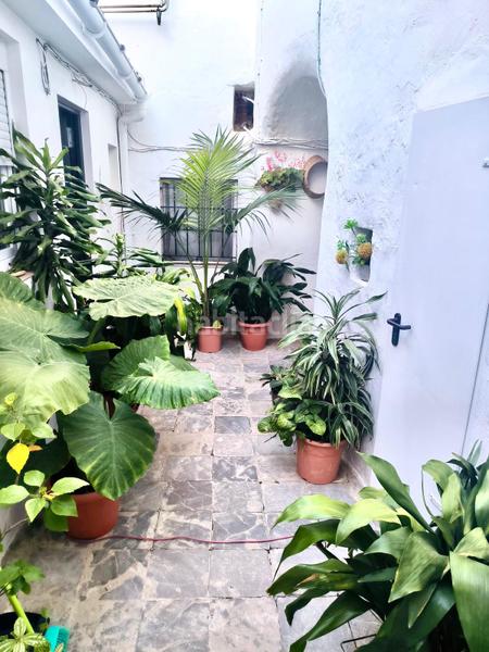 Foto 4244ad46-28f2-43e2-a1da-c8e4cc7100fb. Dachwohnung in Tarifa ciudad Tarifa