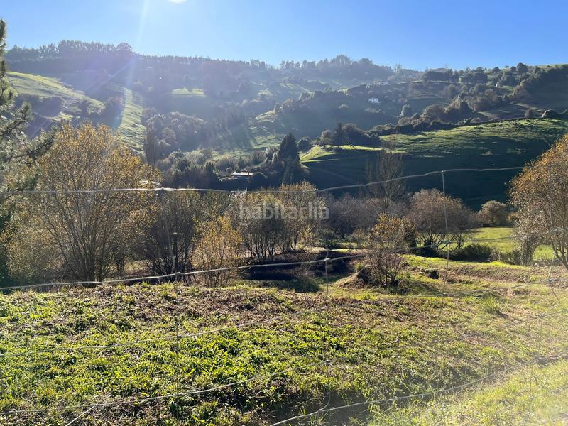 Foto 48ec8469-2374-404d-8710-73989f320202. Finca rústica espectacular finca edificable soleada en Gijón