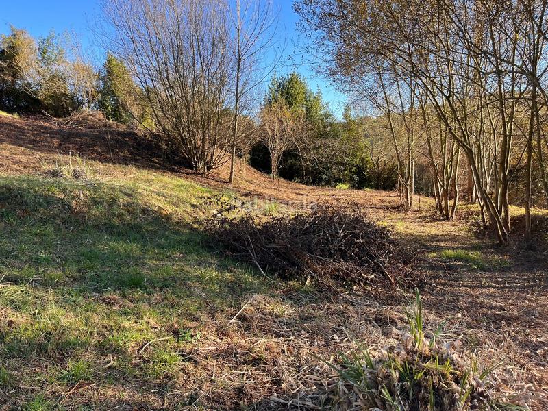 Foto 6cbe8391-25d3-4678-bf27-4860a8532d72. Finca rústica espectacular finca edificable soleada en Gijón