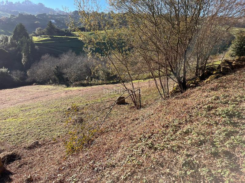 Foto a733e4d0-907b-458c-bc58-d2a21e74f827. Finca rústica espectacular finca edificable soleada en Gijón